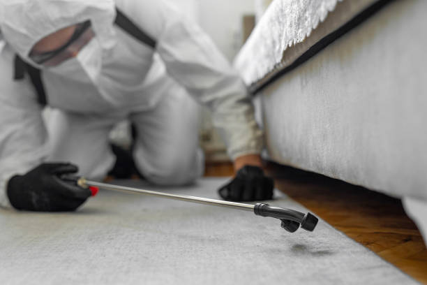 Professional Termite Control technician working in Corning, CA