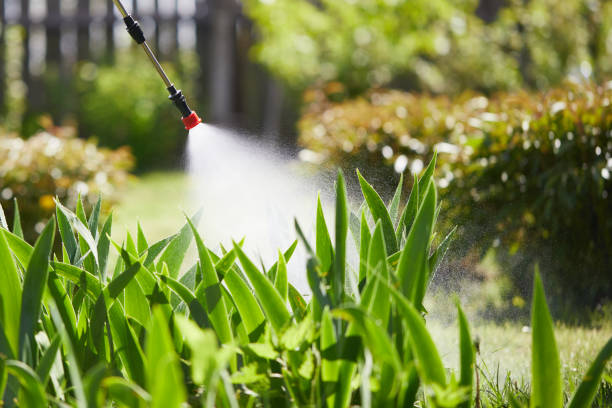 24/7 Emergency Termite Control experts in Corning, CA